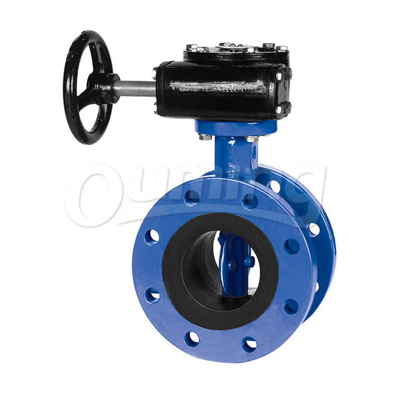 Concentric butterfly valve